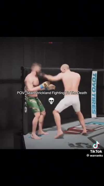 the average Sean Strickland fight