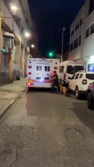 A dog was running after the ambulance that was taking his human. When the EMS realized it, he was let in.