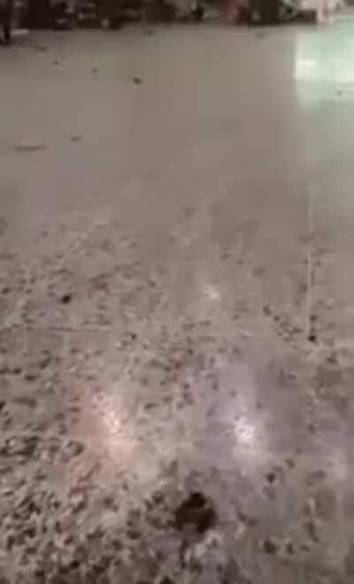 Intense footage recorded seconds after a bomb exploded in the foyer of Manchester Arena after an Ariana Grande concert. The blast, detonated by ISIS suicide bomber Salman Abedi, killed 22 people and injured hundreds. It was the deadliest terrorist attack 