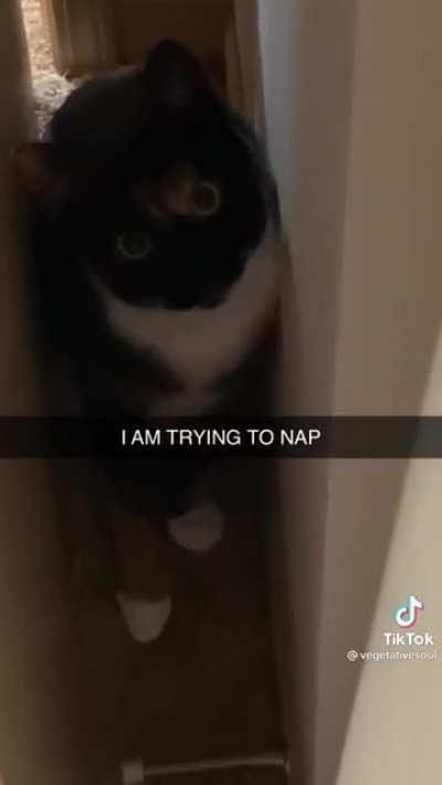 I just want to nap!
