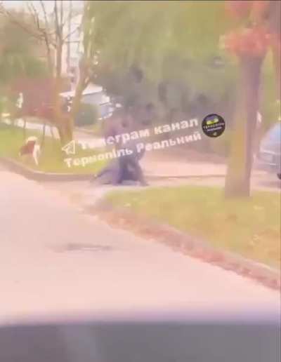 UA POV: In Ternopil, a man walking his dog was recruited by the TCC.