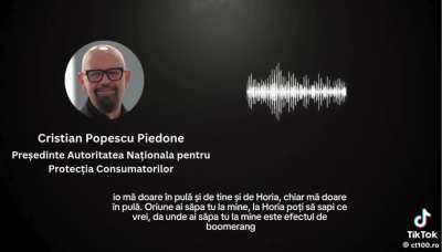 Cum se pun la cale controalele si posturile. Dialog intre Piedone, Sorin Susanu si seful corpului de control