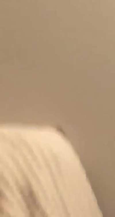 The joys of living in the South in the summer