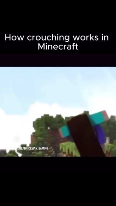 How Steve crouches. Animation