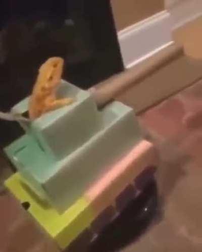 Mujico - Video #9784