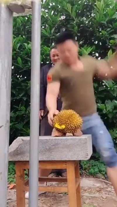 Manchop. Destroyer of shins.