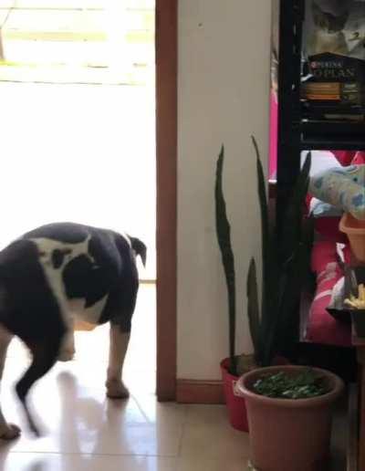 Be aware of the silent assassin who melts ur heart.