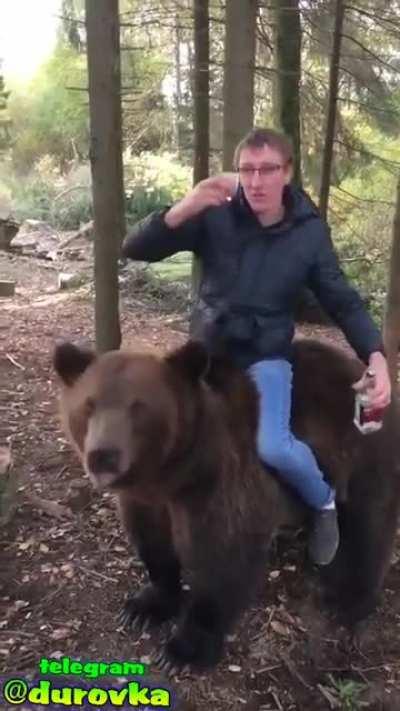 Russian on bear