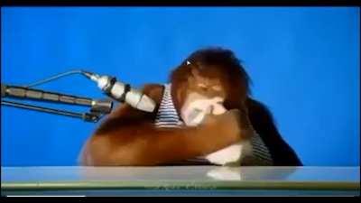 You can replace the Intro and Startup_Sequence_Loading videos for Halo Infinite with whatever you want and it launches just fine, here you can see I've replaced the startup loading screen with Orangutan Eating ASMR