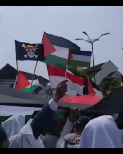 The One Piece Israel