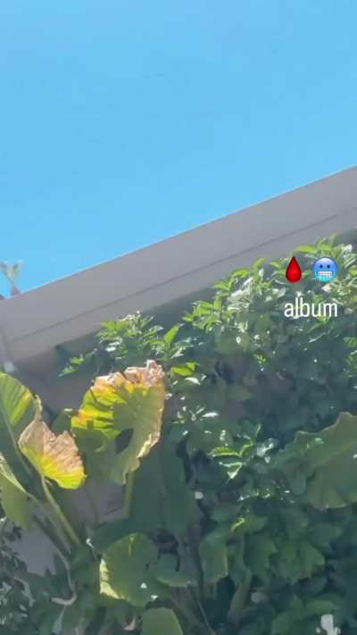 New Story, June 10th 2025