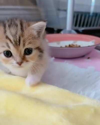 Criminal chasing the camera!