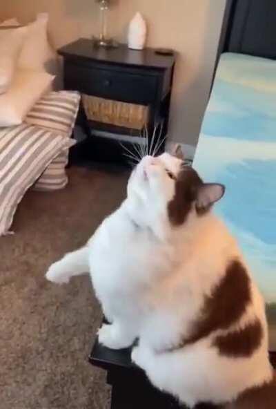 Догадались, что за фильм?