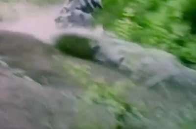 Canadian inventor Troy Hurtubise tests his armored grizzly bear protection suit