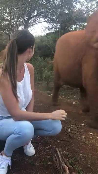 FUCKING MOVE I WANNA SEE THE BABY ELEPHANTS 🐘