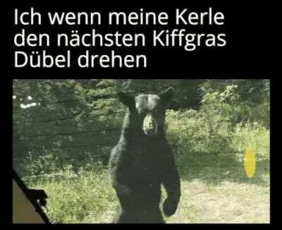 ich_iel