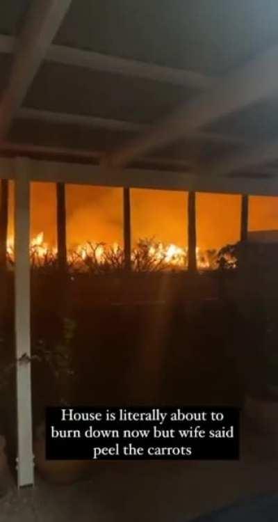 Those carrots aren't going to peel themselves