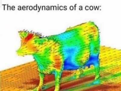 Gente, que significa 