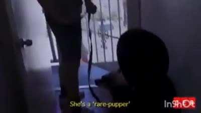 someone sent me this