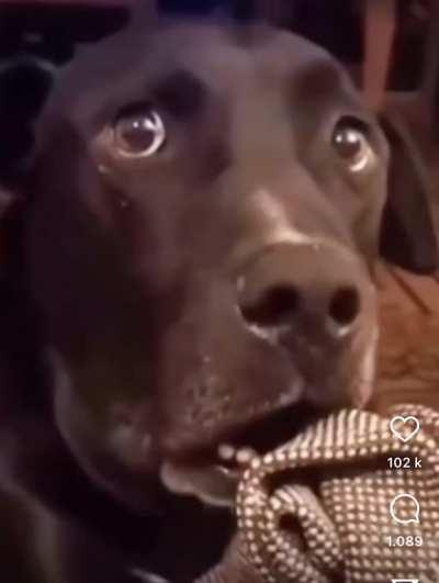 To witness an exorcism