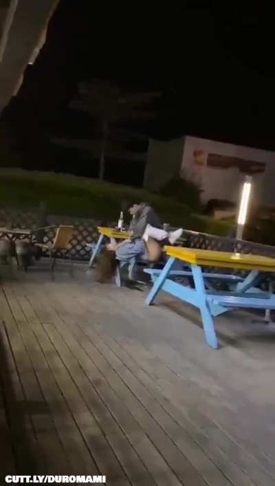 Patio Pussy