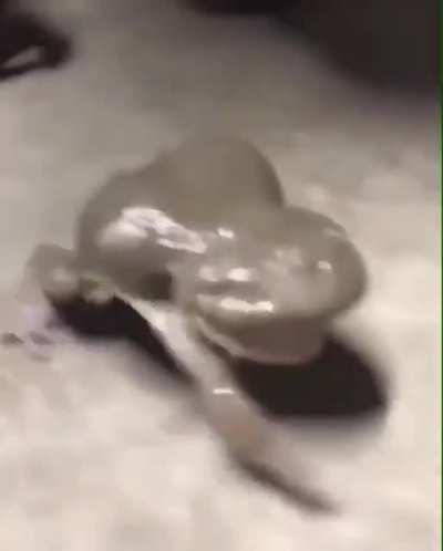 ..... AAAAAAAAAAAAAAAAAAAAAAAAAAAAAAAAAAAAAAAAAAAAAAAAAAAAAAAAAAAAAAAAAAAAAAAAAAAAAAAAAAAAAAAAAAAAAAAAAAAAAAAAAAAAAAAAAAAAAAAAAAAAAAAAAAAAAAAAAAAAAAAAAAAAAAAAAAAAAAAAAAAAAAAAAAAAAAAAAAAAAAAAAAAAAAAAAAAAAAAAAAAAAAAAAAAAAAAAAAAAAAAAAAAAAAAAAAAAAAAAAAAAAAAAA