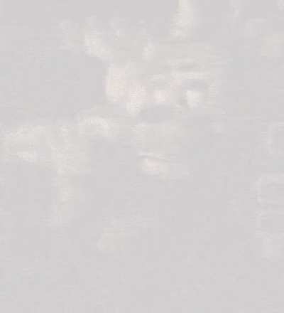 literally the whole subreddit (except for mods) when u/qualityvote2 exists