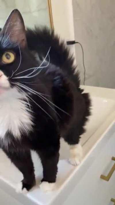 His name is Wiz Khalifa and he wants to talk to you