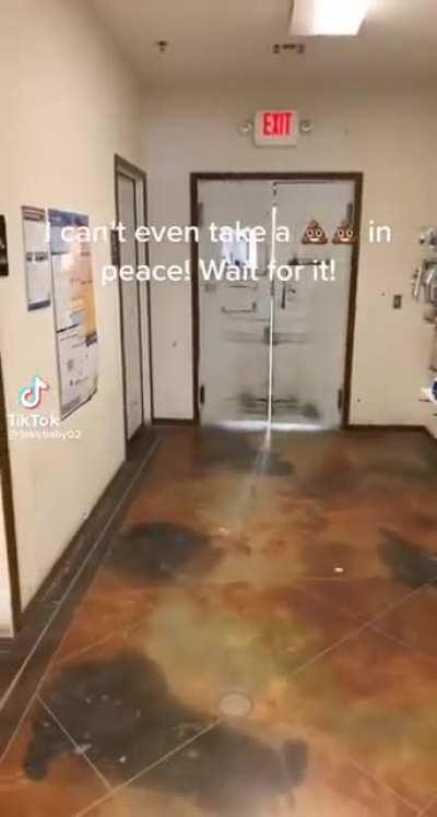 Can’t even use the bathroom in peace