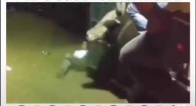 Wow. Let’s do that again.