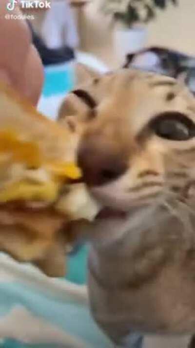 Dababy eating 🥵🥵🥵