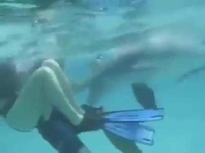 Drop the camera and help them get out.