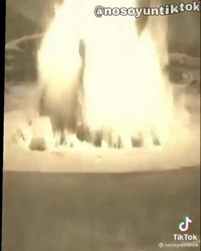 Tico and Toco resurrection