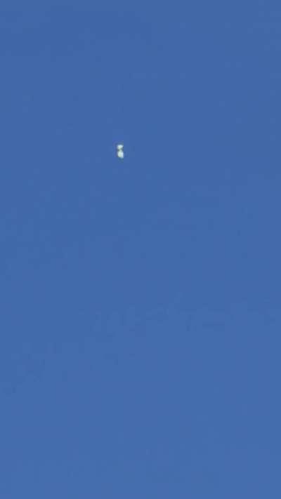 Can you help me identify this? Seen in Tacoma, WA 6/1/2020