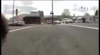 мир глазами котика