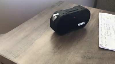 Wish I didn't buy the cheapest speaker..