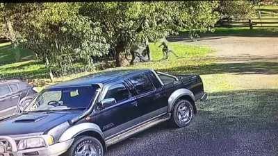 The quietest day in Australia...