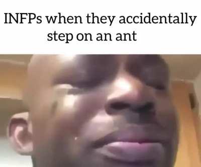 ENTPs explaining how water isn't wet...