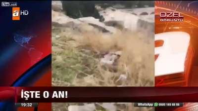 I think the reporter retired after this