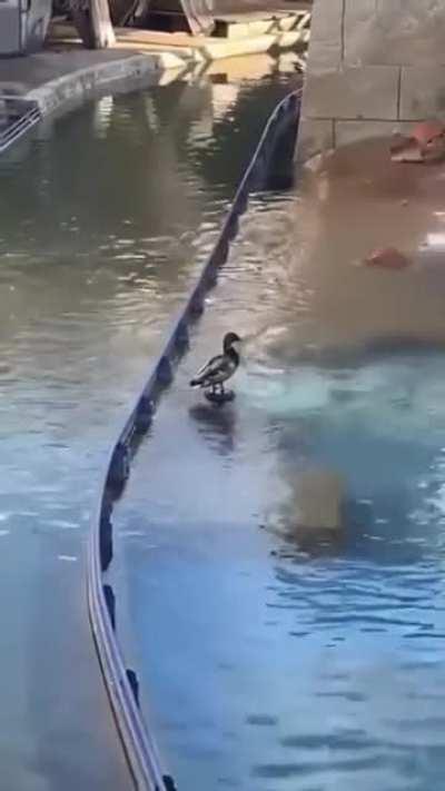 Aaand we got lift off!