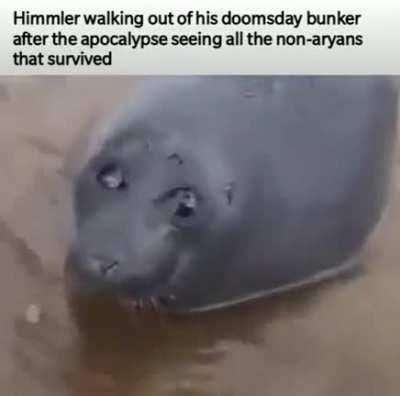 dsrfunny - Video #8162