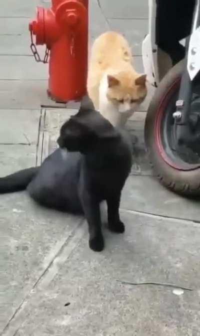 最近被点名的次数些许多，我不喜欢太高调。决定跟随大Mod删号跑路，各位有缘再见。