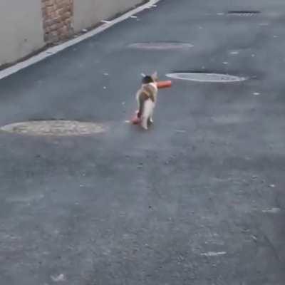 It was a successful heist.