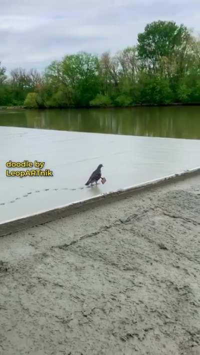 ✅ STAMP OF APPROVAL ✅