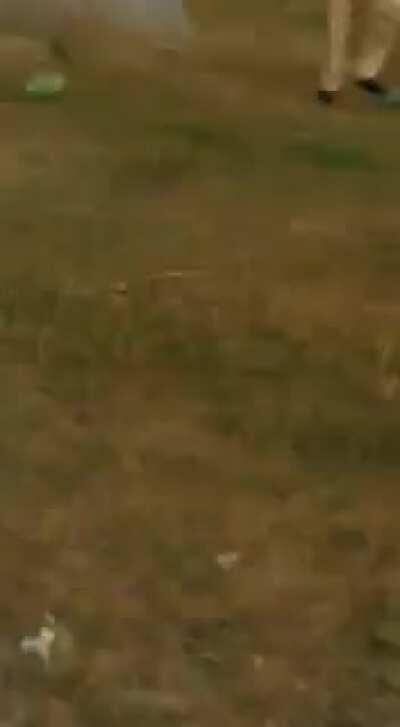 This festival celebration of burning the demon went wrong