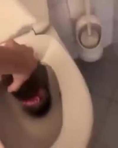 Coca Cola espuma con el inodoro que habla