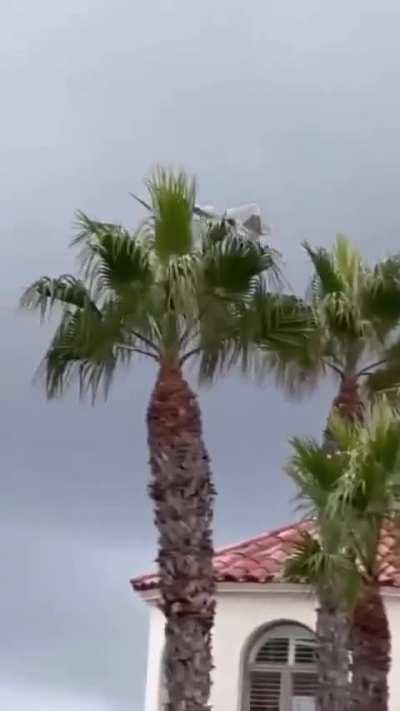 F-22 steering like a boss 