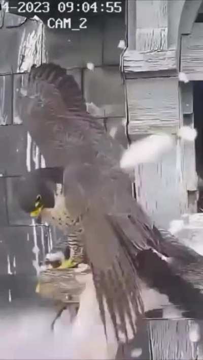 Bro was like: are you fucking serious?