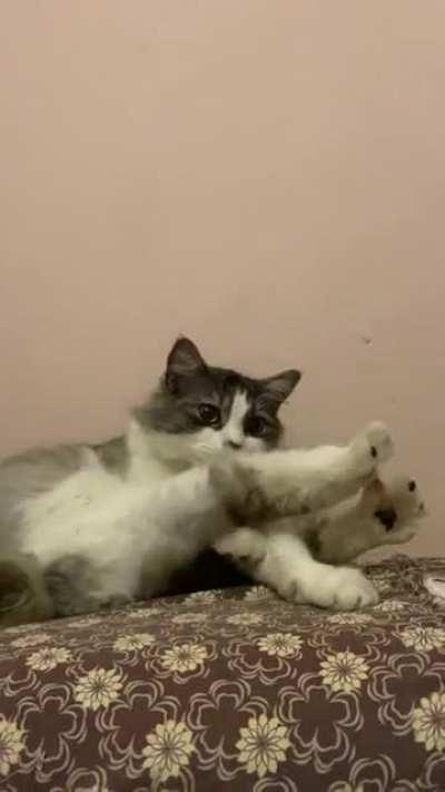 Yoga stretches turns to sleeping cuddle ball