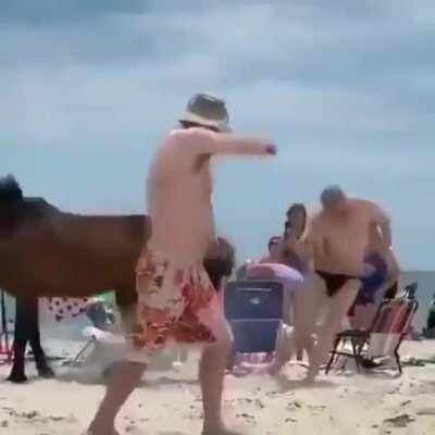 WCGW Horsing Around